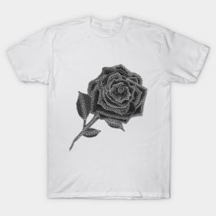 Rose - Black & White T-Shirt